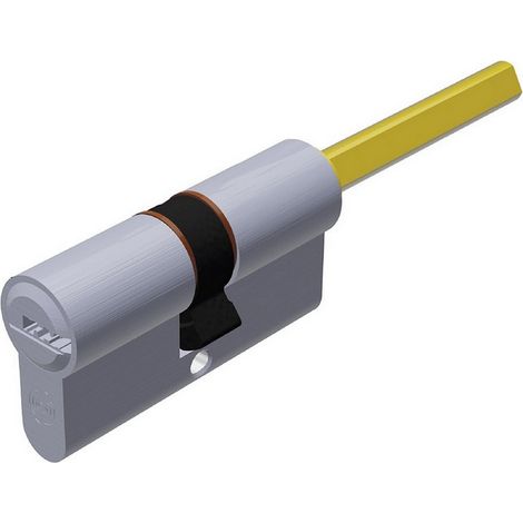 1PZ CILINDRO CROMO SATINATO EVOK1 CON CODOLO 5 chiavi mm. 60 (30+30) (1/2)