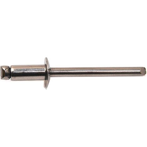 250 Rivets Aveugles Tête Ronde GORIVET TRS 4.8 x 10 mm - Inox A4 - D-Work