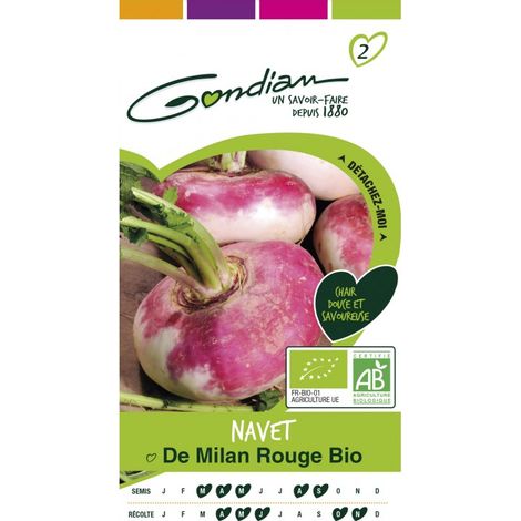 Gondian - navet de milan rouge bio (1/3)