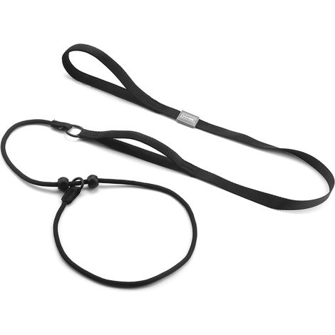 Hundeleine mit komfortablem Griff und verstellbarem Halsband – Dünne Leine aus robustem, strapazierfähigem, zugfestem und würgesichertem Nylon (1/5)