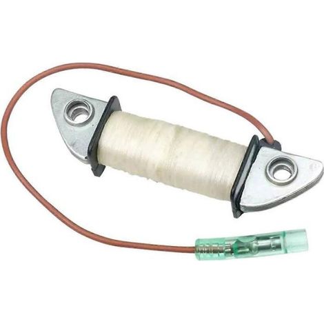 Bobine D Allumage - Pour Moteur Bateau Hors Bord Parsun 3 Cv 4 Cv 5 Cv - 2 Temps - Référence 6E0-85520-70 - 1 Pièce (1/5)