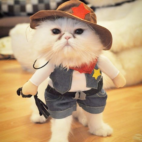 Cowboy-Weihnachtskostüm für Hund oder Katze mit Hut, Größe M