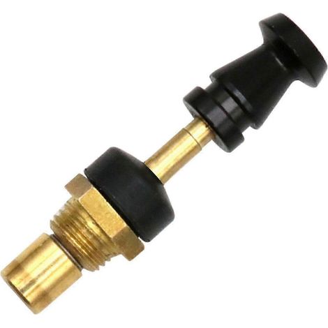 Éliminateurs de soupape de starter pour carburateurs de motos (1/4)