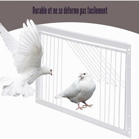 Porte de Cage pour Pigeon d'entrée pour Pigeons 40x26cm T-Barre de Course d'entrée Cage en Fer de Maison pour Oiseaux (1/2)