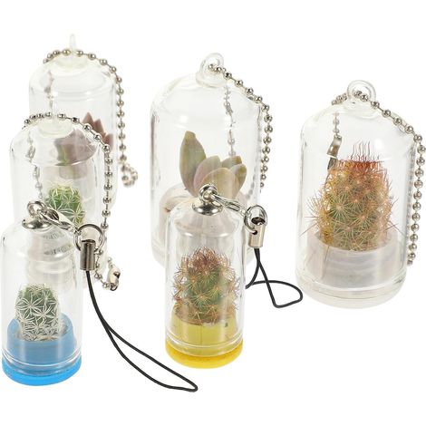 6 Stück Miniatur Glas Hängepflanzgefäße mit