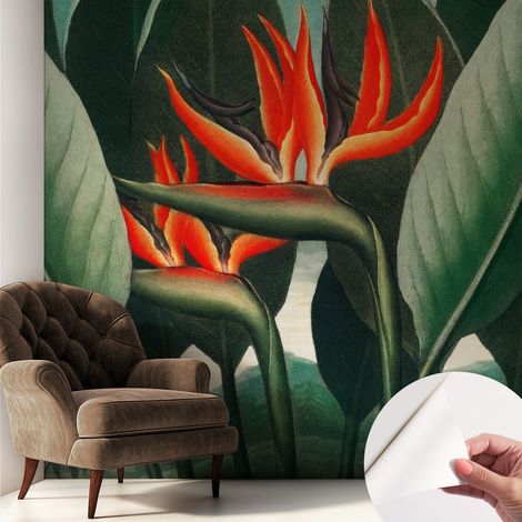 Papier peint adhésif décoratif pour chambre et salon Design moderne à poser facilement Fleurs exotiques 250x250 cm (1/5)