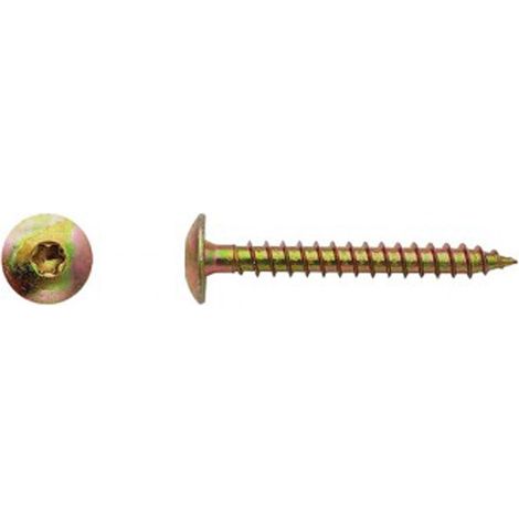 Vis pour penture Torx® Zingué bichromaté - 6 x 80 mm - BIVI (1/2)