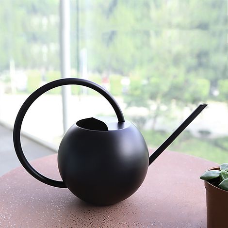 Arrosoir à long bec en acier inoxydable pour fleurs, pot d'arrosage domestique et de jardinage, arrosoir sphérique portatif en métal (1/5)