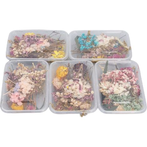Kit Créatif de Fleurs Éternelles à Faire Soi-Même (1/5)