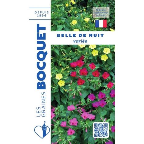 Belle de nuit variée - 3g