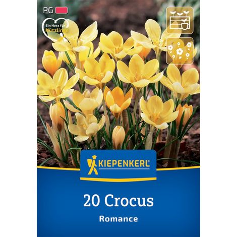 Kiepenkerl Herbstblumenzwiebel Wildkrokus Romance 20 Pflanzen (1/2)