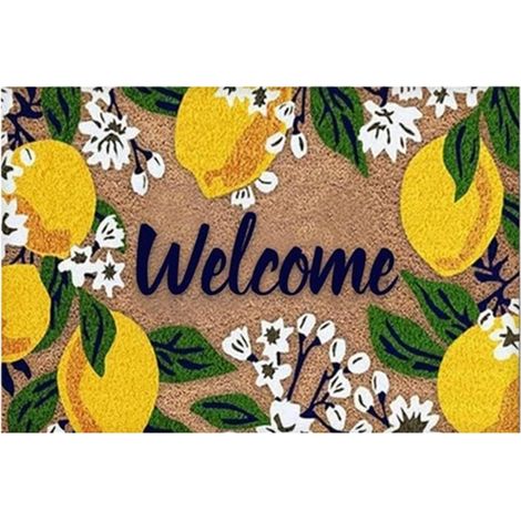 Paillasson d'Entrée Extérieur Tapis d'Accueil Antidérapant 58 x 38 cm Tapis de Porte d'Entrée pour l'Extérieur pour Sol Intérieur Chambre Cuisine Salon Maison Appartement Ferme Restaurant Hôtel (1/5)