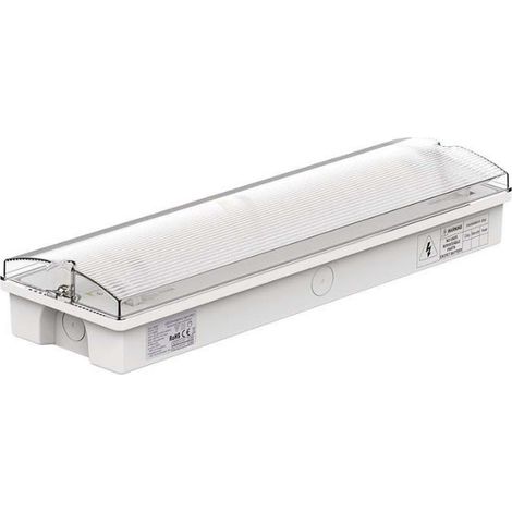 Bloc de Secours BAES LED Bouton Autotest 3W IP65 - Blanc Froid 6000K - 8000K - SILAMP