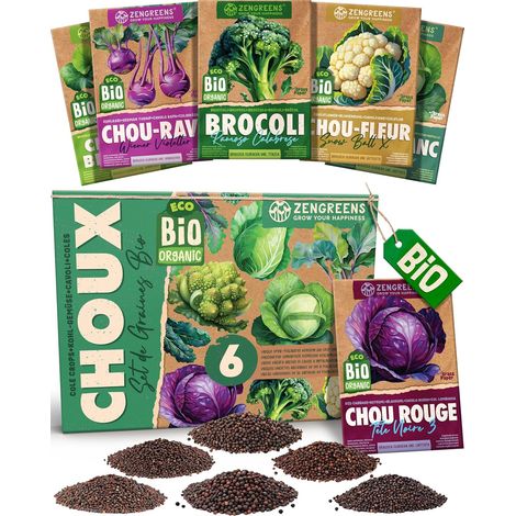 Kit de Graines de Choux bio - 6 variétés anciennes - Semences (1/5)