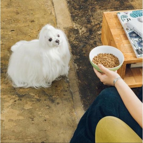 NATURE'S PROTECTION Soins Supérieurs Hypoallergéniques Saumon - croquettes pour chien - 10 kg (1/4)