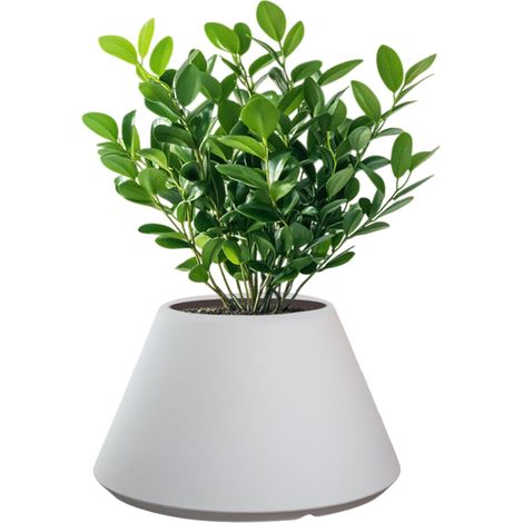 Vase Stromboli Blanc En Résine, Forme Conique Ronde, Pour Plantes D'Intérieur Et D'Extérieur, Diamètre 60 Cmxhauteur 35 Cm. (1/5)