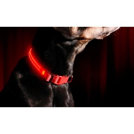 Collar ajustable LED para perros y gatos diferentes colores y tamaños  Color: Rojo - Talla: S