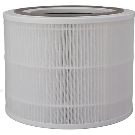 Filtre purificateur d'air haute efficacité pour particules, filtre de remplacement compatible avec LEVOIT Core Mini RF (1/5)
