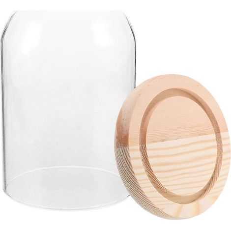 Cloche en verre pour fleurs stabilisées, avec socle en bois, idéale pour la décoration. (1/5)