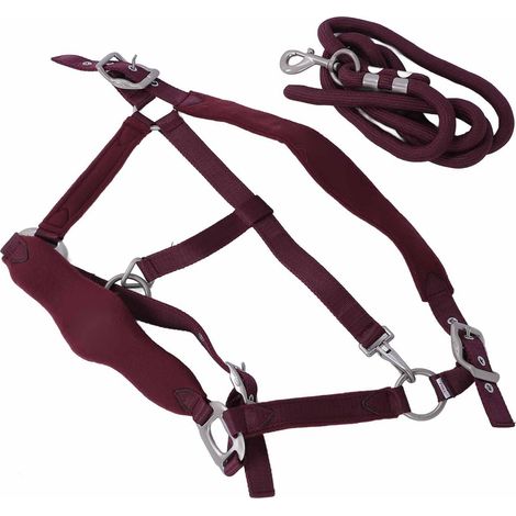 Ensemble licol pour cheval anti-frottement, réglable, avec laisse de 2 m pour l'entraînement quotidien, rouge bordeaux, taille L. (1/5)