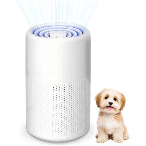 Purificateur d'Air pour Allergiques avec Filtre à Charbon Actif - Portable USB - Filtre HEPA 5W - Silencieux - Pour Poils d'Animaux & Odeurs - Pour Maison, Voiture, Bureau - Jusqu'à 10m² (1/5)