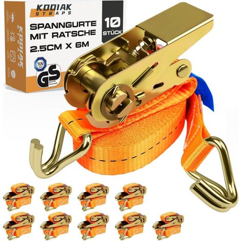 10x Spanngurte 6m mit Ratsche und Haken, 1000kg, 25mm, TÜV/GS geprüft (1/5)