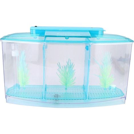 Aquarium LED en acrylique à trois compartiments pour l'élevage de petits poissons (bleu) (1/4)