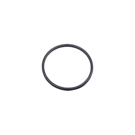HL01017D O-Ring DN50