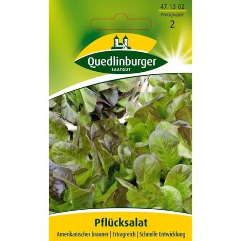 Quedlinburger Pflücksalat Amerikanischer brauner - Gemüsesamen (1/2)