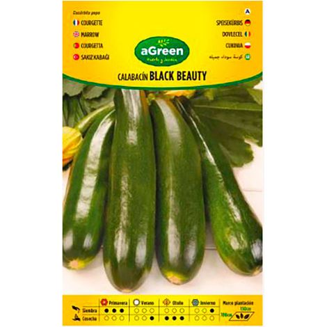 Sachet de graines de courgettes Black Beauty Agreen (1/3)