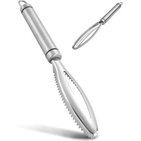 1 Changing Fish Scaler, ecailleur of fish professional in 304 stainless steel, Gadgets of kitchen (1/5)