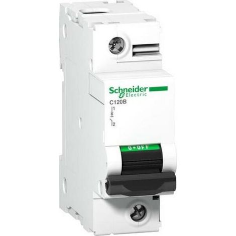 Interruptor Schneider Electric c120b 40A 25kA