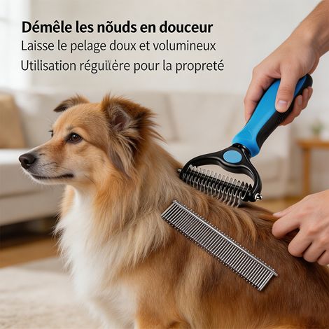 Brosse anti-nœuds pour animaux avec peigne en acier 16x3 cm, démêloir bleu double côté 17x7 cm, toilettage professionnel - Bleu (1/5)