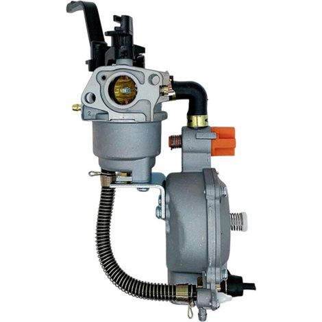 Kit de conversion GPL/GN 2 kW pour générateur bicarburant 168F/170F avec starter manuel (1/5)
