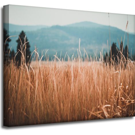 Leinwandgemälde Natur Grashalme 50x40 cm Berge