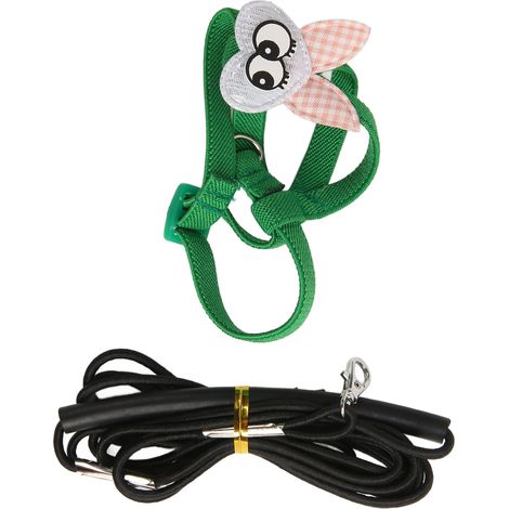 Harnais de vol pour perroquet avec laisse de 2 m de long, ceinture élastique ultra-légère et poignée en caoutchouc, pour perroquet de taille XS (25,5 cm), yeux verts. (1/5)
