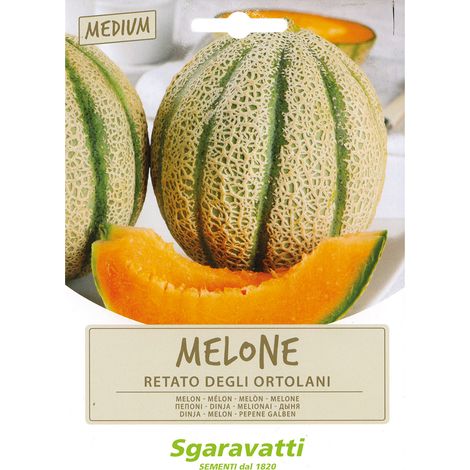 SEMI PER ORTAGGI E VEGETALI melone retato degli ortolani Q.TA 20 melone retato degli ortolani