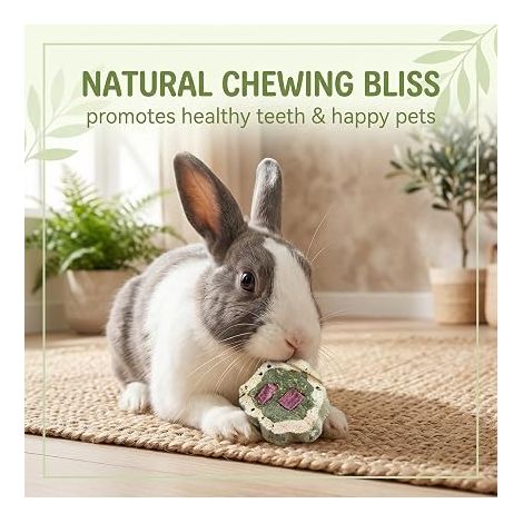 Hamster Toys Chew Toy for Rabbits,Hamsters,Guinea Pigs,Hamsters,Chinchillas and Dwarf Rabbits (1/4)