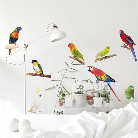 Sticker décoratif, photo de péroquets perchés sur leur branche style tropical, 68 cm X 24 cm