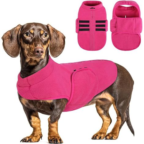Pull pour Petit Chien et Chat en - Veste Gilet avec Harnais pour Moyen et Grand Chien - Rose (L) (1/5)