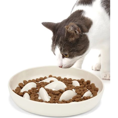 Filiyano-Gamelle anti-glouton pour chats et petits chiens, mangeoire lente antidérapante (1/4)
