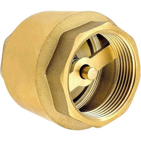 Filiyano-Clapet anti-retour de 2,5 cm (1 pouce) en laiton robuste de haute qualité, antirouille et étanche, pour pompe et machine à laver. (1/5)
