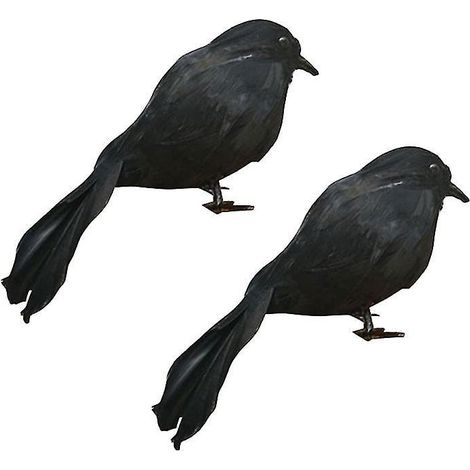 Lot de 2 corbeaux d'Halloween (1/3)
