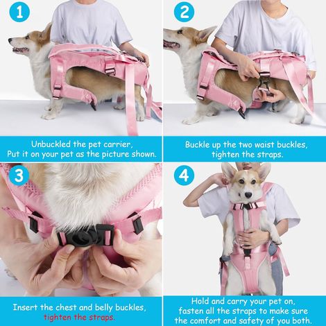1 Sac à dos de transport pour chien, réglable, maille respirante, coussinets confortables, pour randonnée et voyage (1/5)
