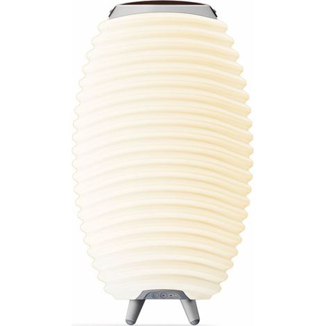 Kabelloser bluetooth-lautsprecher mit integrierter led-lampe und eiskübel 56 cm - Kooduu - synergy 50s 2.0