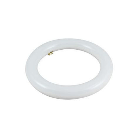 Tubo circolare a led T9 14w luce 6400k 81.548/15/giorno