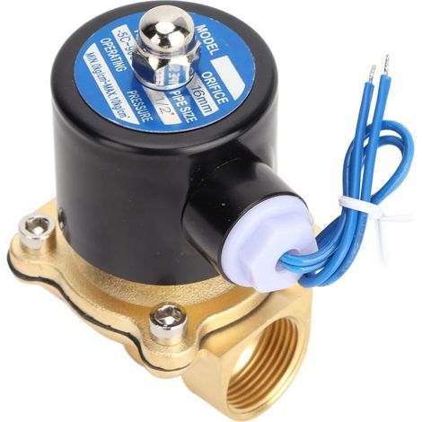 Électrovanne 2W en laiton et caoutchouc, normalement fermée, pour eau et gaz, 110 V CA, filetage 1/2 pouce (16 mm). (1/5)