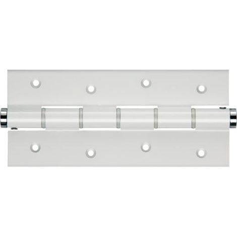 Bisagra de muelle simple - Plata
