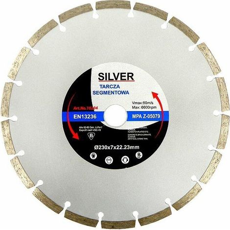 Disco de diamante segmentado, Silver, 350 x 10 x 25,4/22,2 mm, uso profesional para corte en seco, ideal en hormigón, piedra y asfalto, gran resistencia y precisión