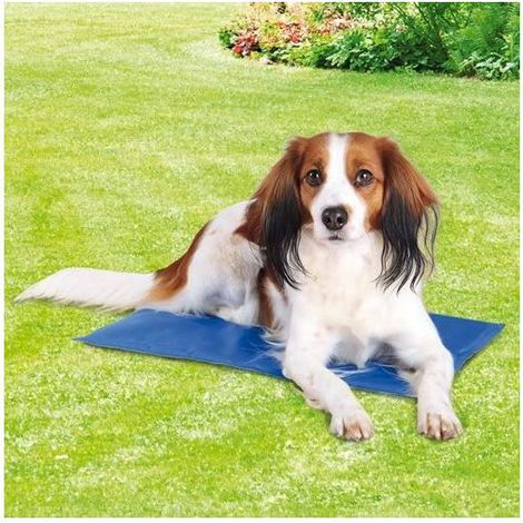 Alfombrilla refrescante Trixie, azul, 50 x 40 cm, para perros (1/5)